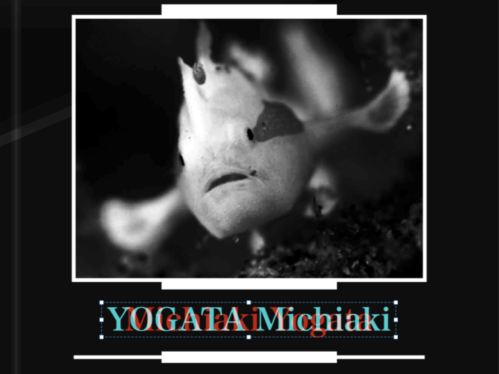 XORによる比較結果の例